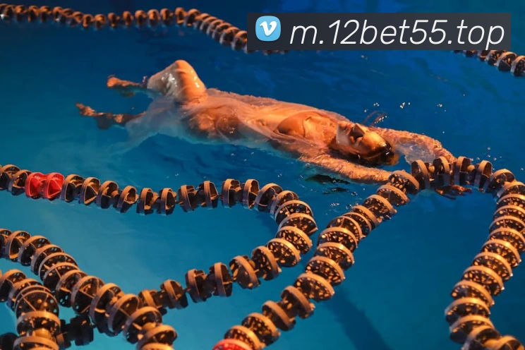 12betAPP 体育赛事宣传图